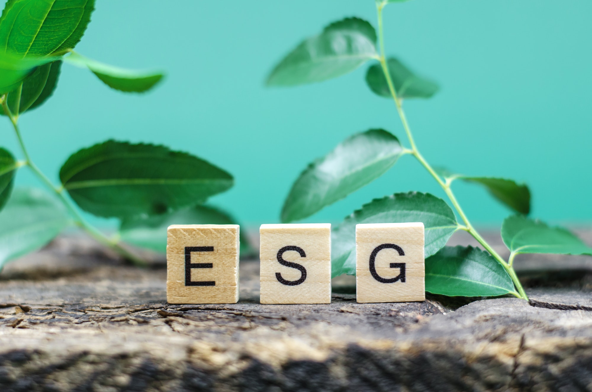 ESG abbreviation on wooden cubes with green leaves. Environmental Social Governance.