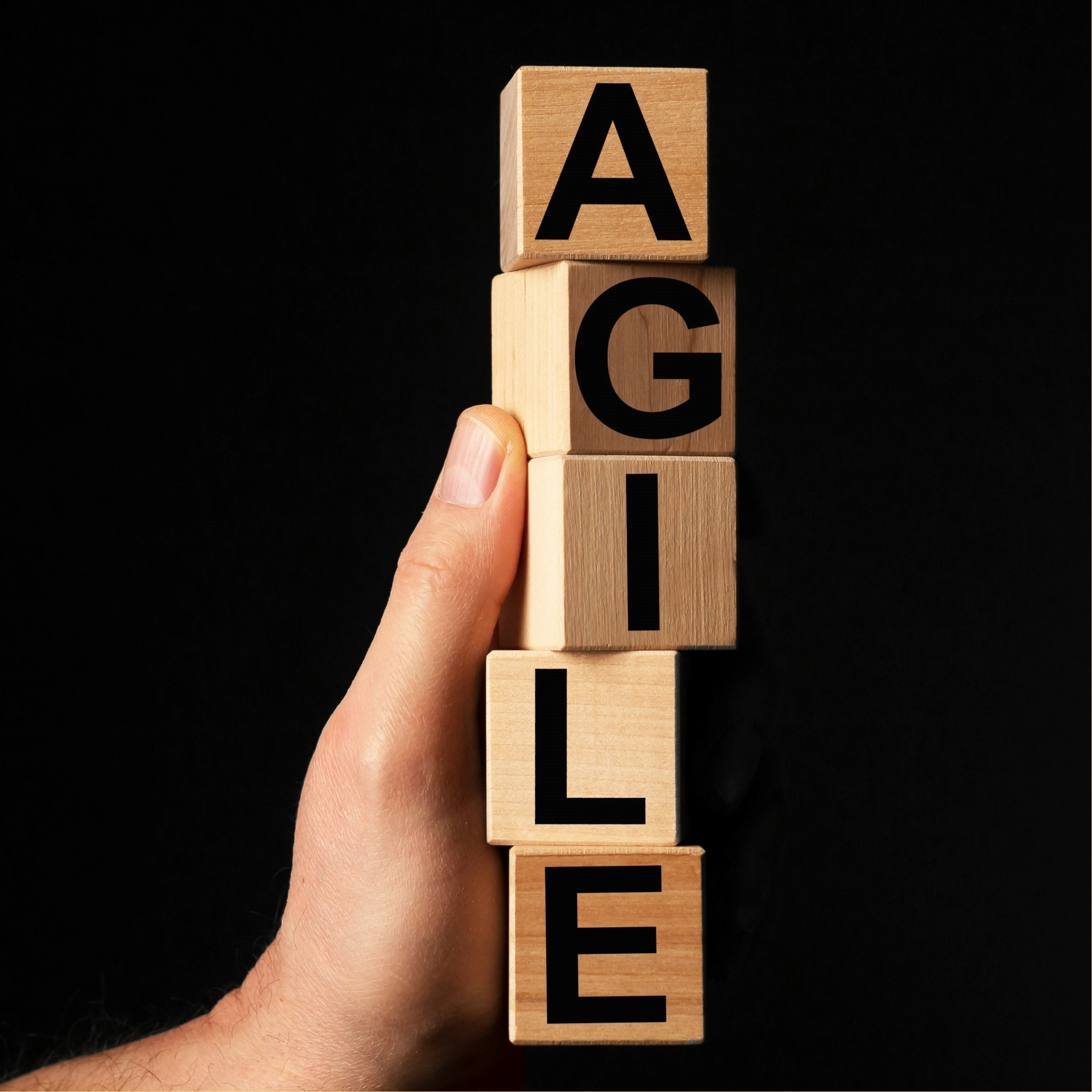 organizzazione agile